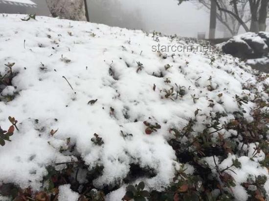 冬季日初·雪境创新启示录，大雪，灵感迸发